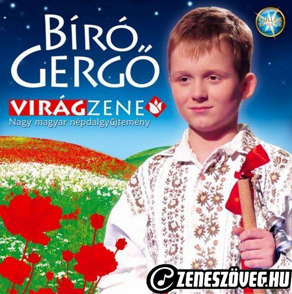 Bíró Gergő Virágzene