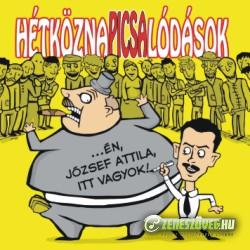 HétköznaPICSAlódások ...Én József Attila itt vagyok!