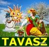 Freeware Tavasz