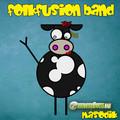 Folkfusion Band A második