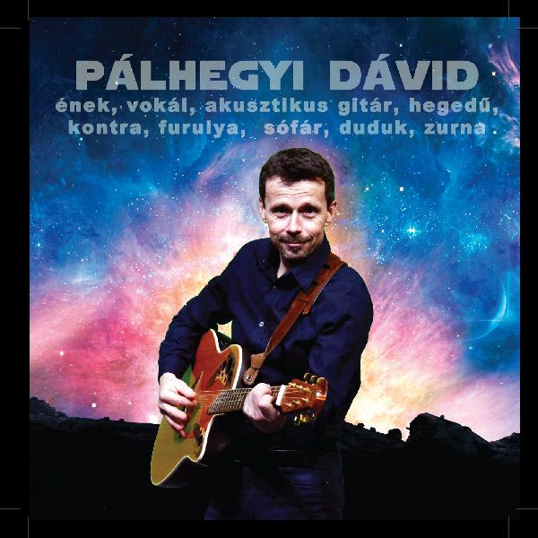 Pálhegyi Dávid Pálhegyi Dávid